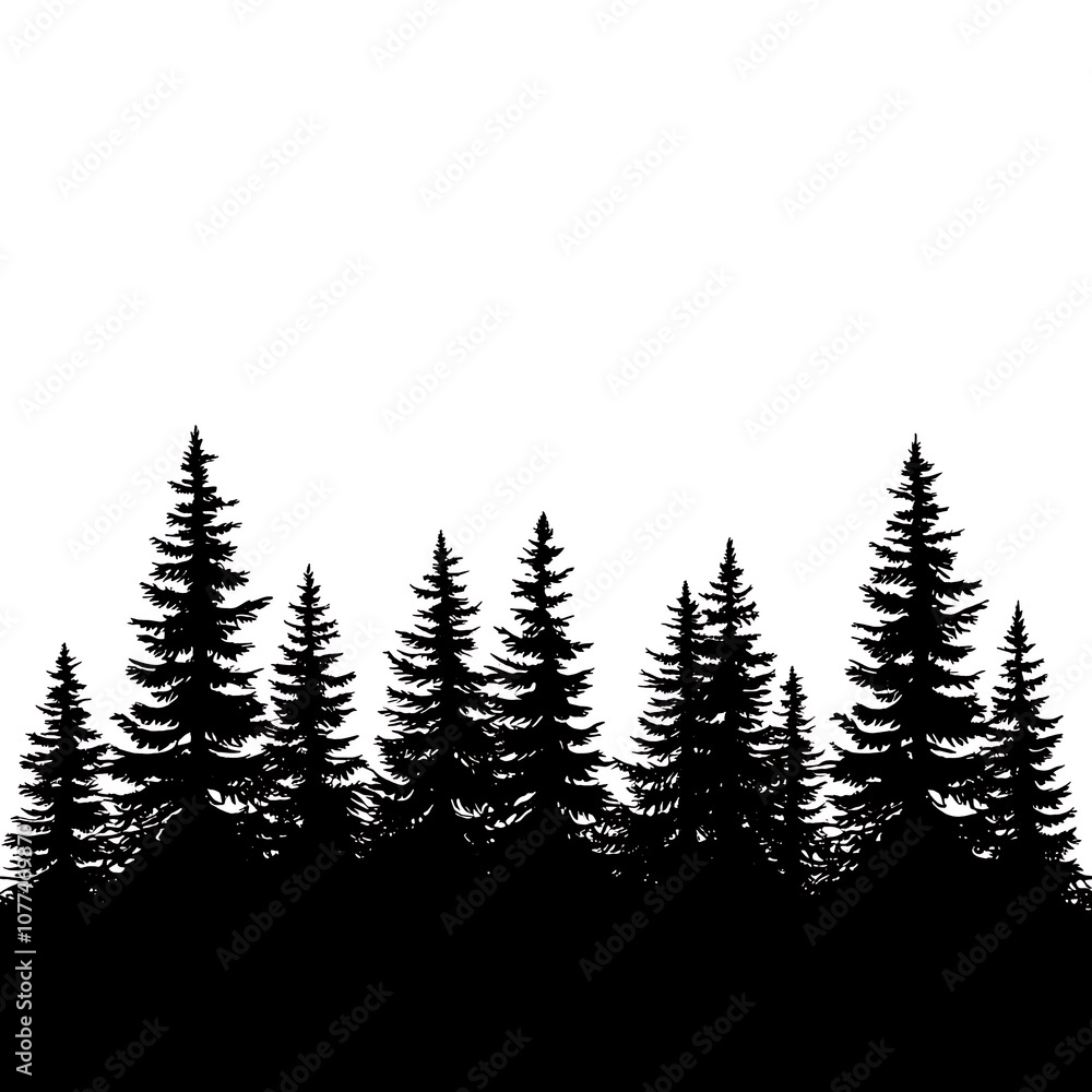 Obraz premium Tall and short pine trees creating a forest silhouette at dusk.