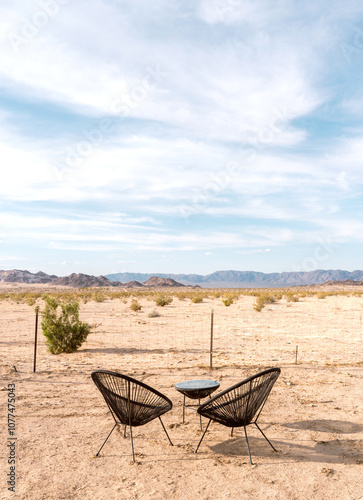 Backyard Desert View  photo