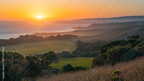 Coastal Landscape with a Setting Sun over a Field and Ocean