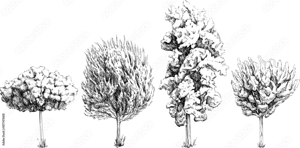 Fototapeta premium Vintage tree sketch collection of hand drawn isolated on white background.