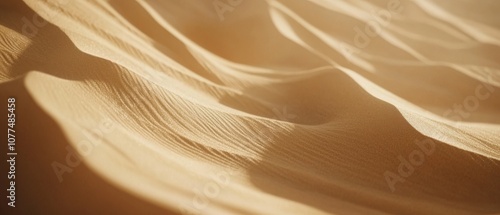 Golden dunes under a warm sun create rippling patterns on the desert sands, evoking timeless beauty and solitude in the vastness of nature.