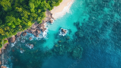 Aerial View of a Lush Green Forest Meeting a Turquoise Ocean