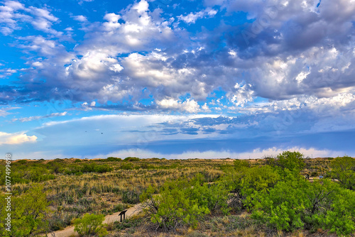 Walking trails move through the sand dunes at Monahans Sandhill State Park.