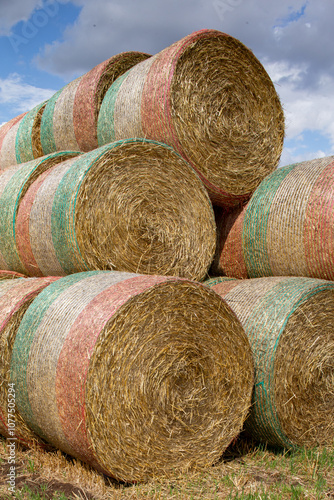 Many round hay bales photo