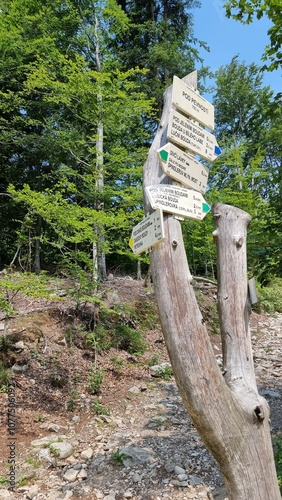 spindleruv mlyn, upper reaches of the elbe photo