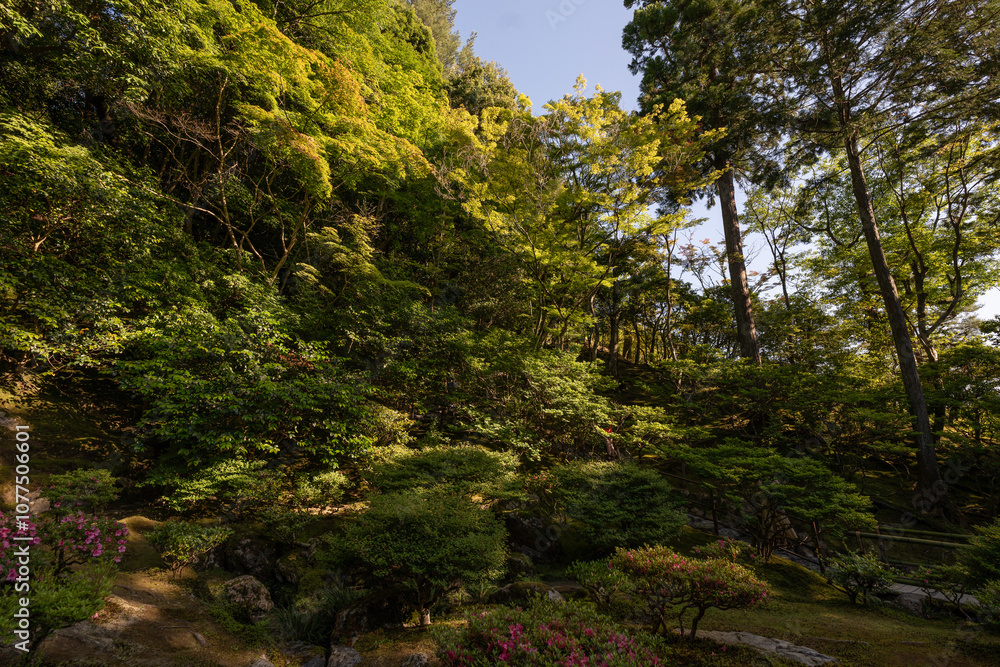 Fototapeta premium Paisaje de jardín japonés 