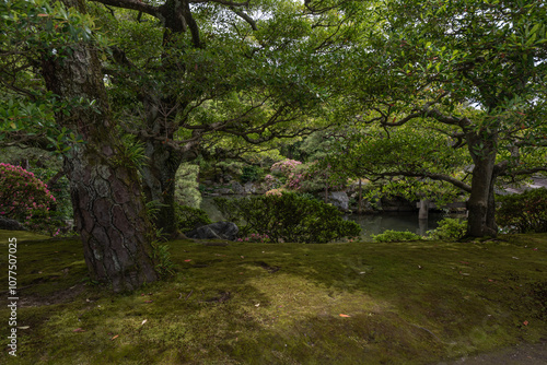 Paisaje de jardín japonés  photo