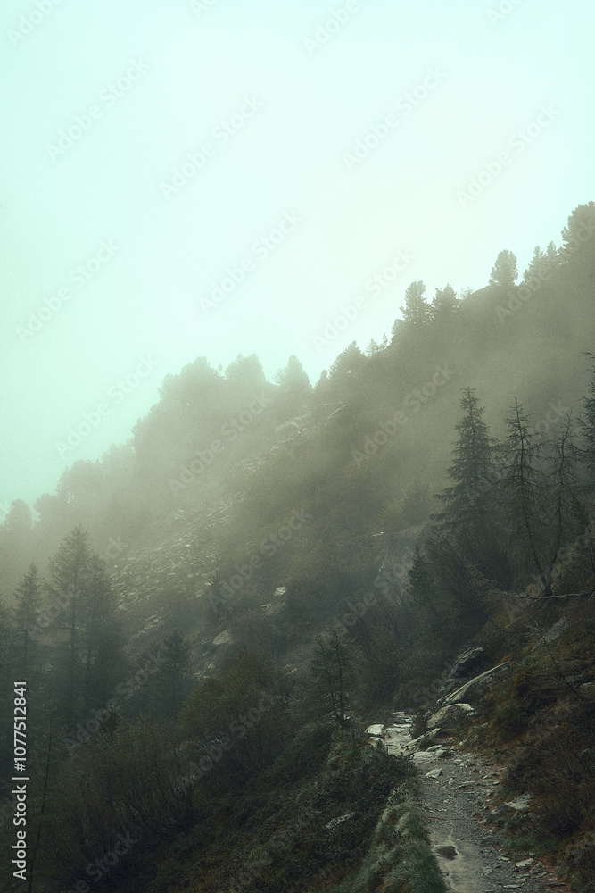 Misty mountain trail winding through trees on a foggy day in a serene natural setting Misty mountain trail winding through trees on a foggy day in a serene natural setting