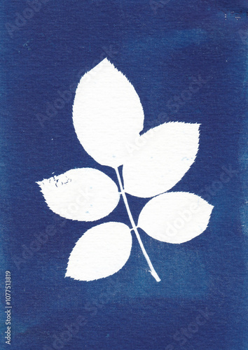 Cyanotype of a leaf print with sharp edges photo