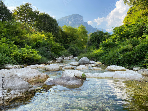 Shallow, crystal clear stream (Rio Cavallo) in the Italian mountains.