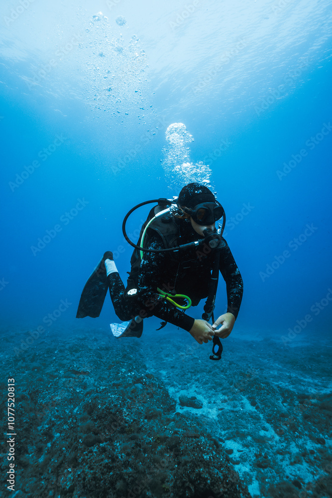 custom made wallpaper toronto digitalteen scuba diver in the adriatic sea