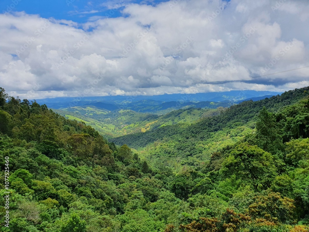 Fototapeta premium Paisagem Campos