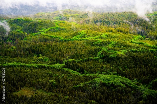 Foto Tongass National Forest from above on a Misty Fjords National Monument flight to