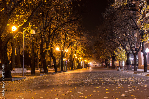 Slika na platnu Shumen centrum