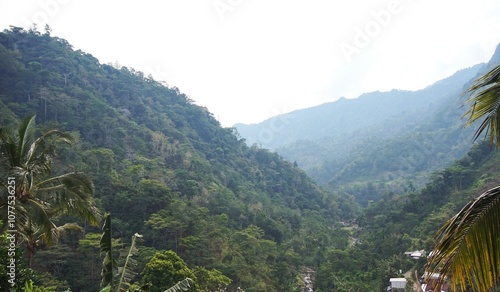 Wallpaper Mural beautiful mountain view with green trees and a little mist Torontodigital.ca