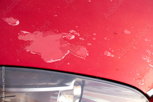 Obraz na płótnie Red car with peeling clear coat and damaged paint close-up. Wear and deterioration on the vehicle’s exterior finish. Damage clear coat, faded red car paint. w salonie