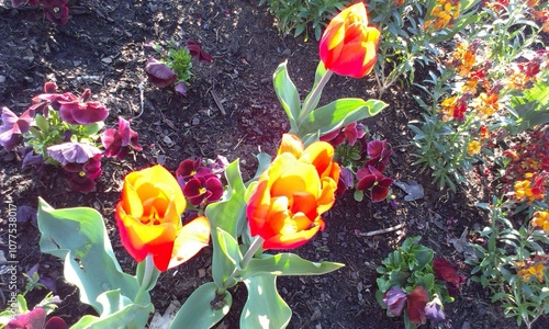 Landschaft mit Fischer und Blumen