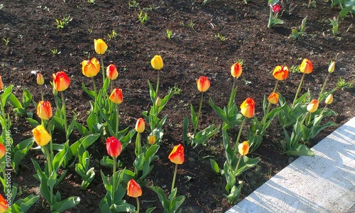 Landschaft mit Fischer und Blumen