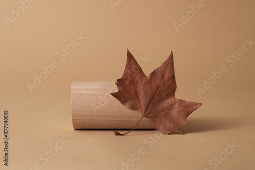 autumn leaf next to a wooden cylinder photo