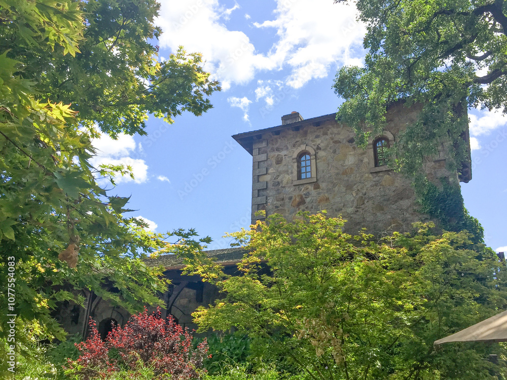 Obraz premium castle in the mountains
