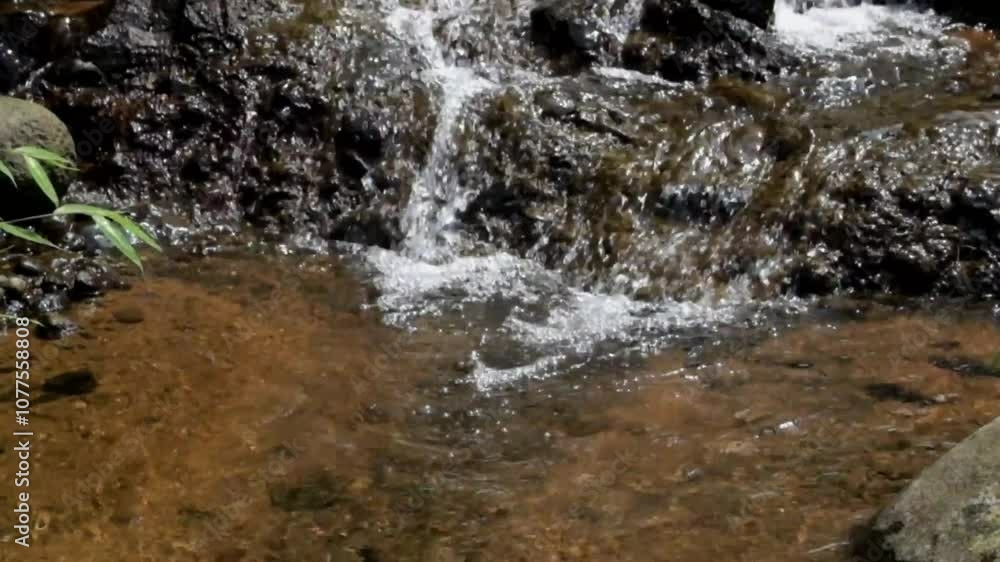 Small waterfall with clear water flowing through natural rocks. Looks calm and peaceful, suitable for relaxation. Natural water source. Real time, raw video no edit. Footage 4K,60Fps Small waterfall with clear water flowing through natural rocks. Looks calm and peaceful, suitable for relaxation. Natural water source. Real time, raw video no edit. Footage 4K,60Fps