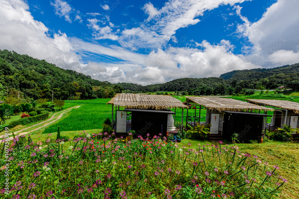 Panoramic nature background from the viewpoint with mountains, big trees, green rice fields, the joy of adventure travel and energy conservation from the ecosystem. Panoramic nature background from the viewpoint with mountains, big trees, green rice fields, the joy of adventure travel and energy conservation from the ecosystem.