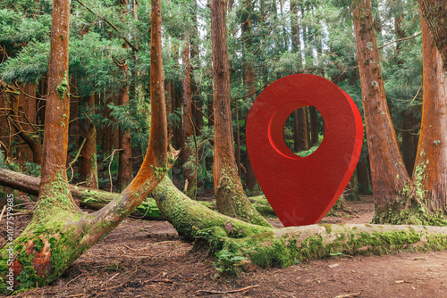 GPS marker in a dense forest showcasing nature and navigation point photo