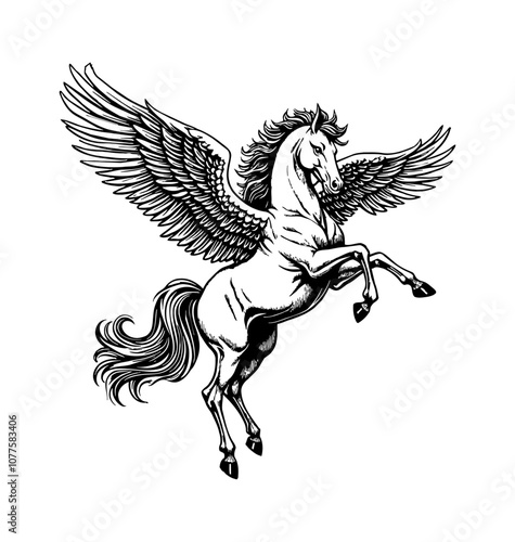 pegasus engraving black and white outline