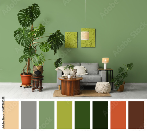 Monstera houseplants, woode...