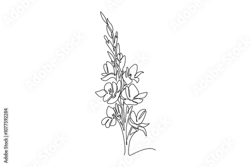Single continuous line drawing beauty fresh lily for home wall art decor poster. Printable sword gladius flower concept for wedding invitation. Dynamic one line draw graphic design vector illustration
