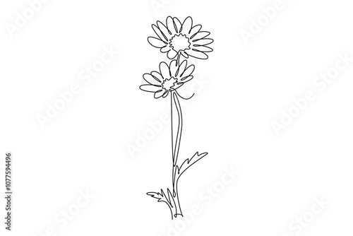 Single continuous line drawing of beauty fresh bruisewort. Printable poster decorative English daisy flower concept for home wall decor art ornament. One line draw graphic design vector illustration