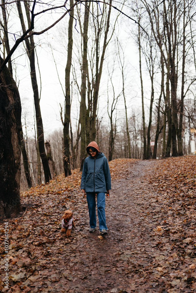 Autumn Strolls With a Loyal Friend Autumn Strolls With a Loyal Friend