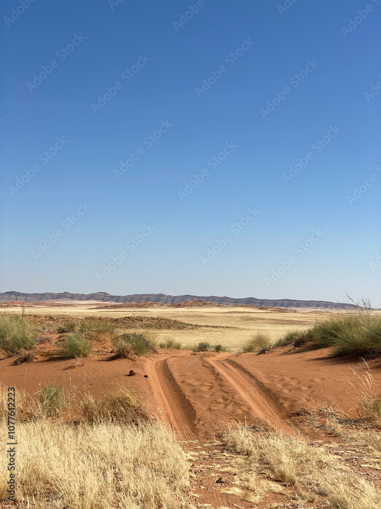 Fototapeta premium Namibia