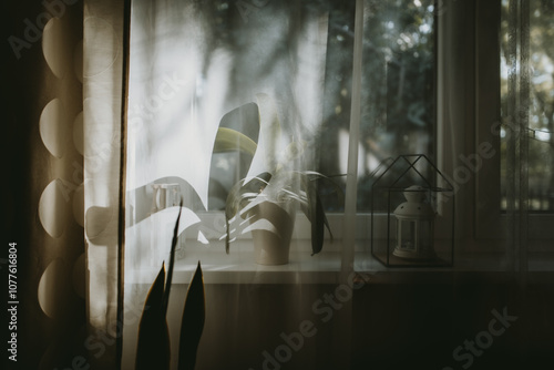 Gorgeous early morning light in a window. Peaceful morning at home.  photo