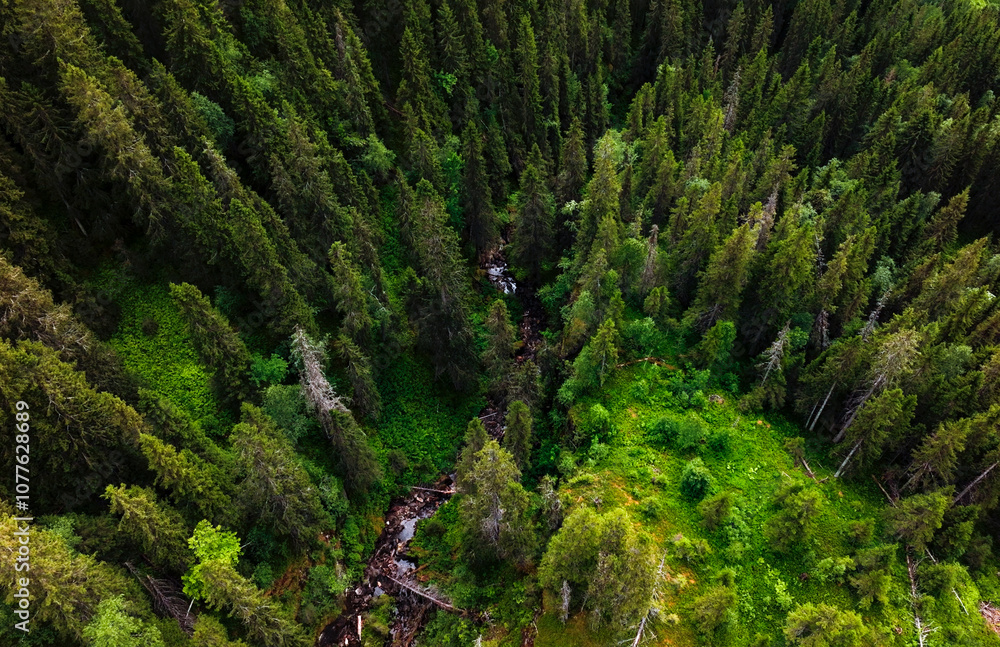 Small river flowing through a green forest, aerial view Small river flowing through a green forest, aerial view