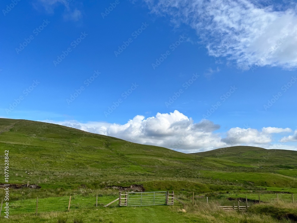 Fototapeta premium English countryside in the summer