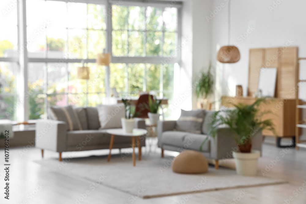 Interior of stylish living room with grey sofas, folding screen and plants Interior of stylish living room with grey sofas, folding screen and plants