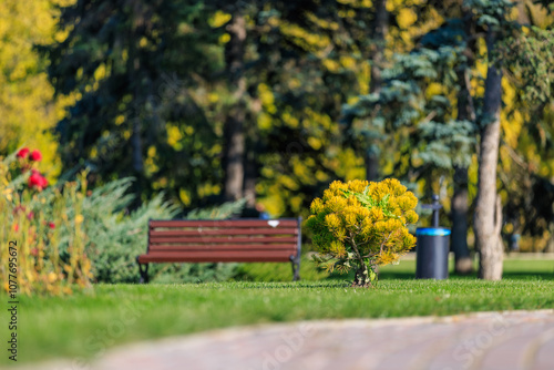 A park bench sits in front of a tree with a yellow flower