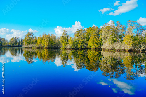 Winter Landscape of Hillsborough river at Lettuce lake park	
 photo