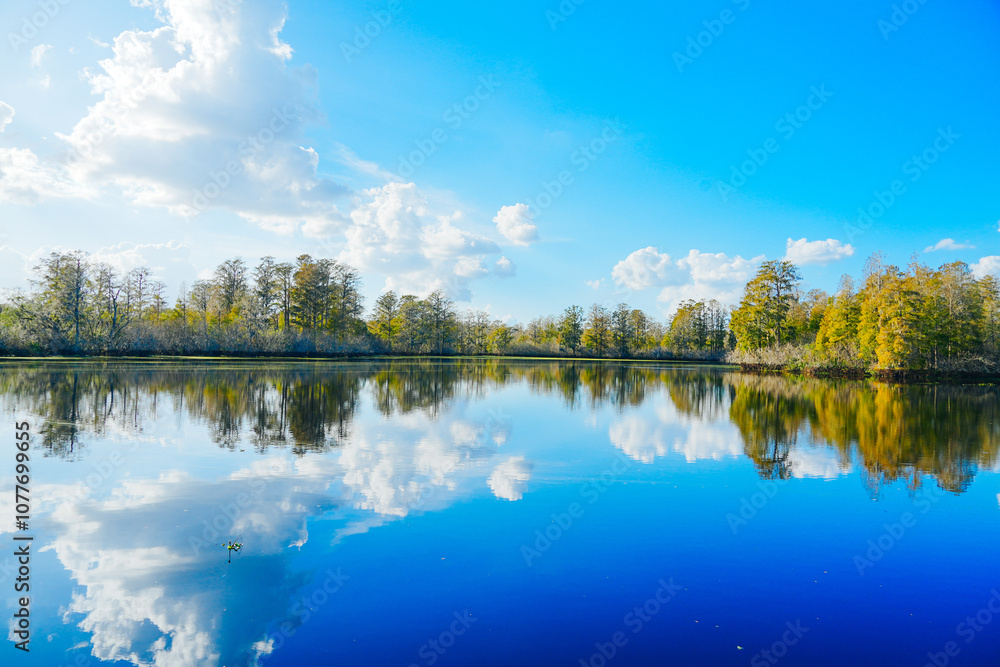 Fototapeta premium Winter Landscape of Hillsborough river at Lettuce lake park 