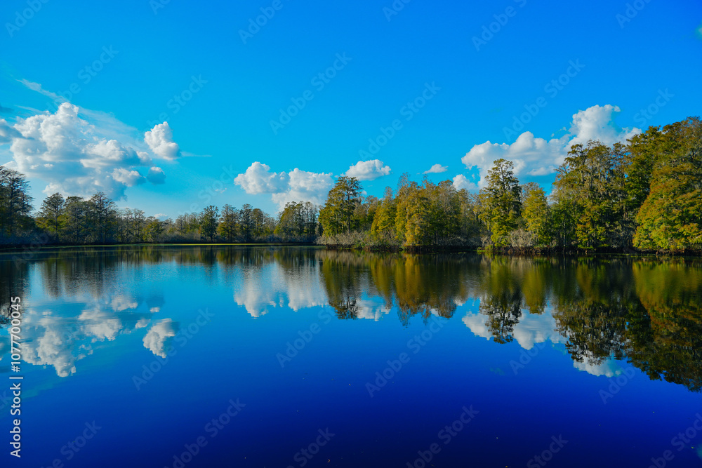 Fototapeta premium Winter Landscape of Hillsborough river at Lettuce lake park 