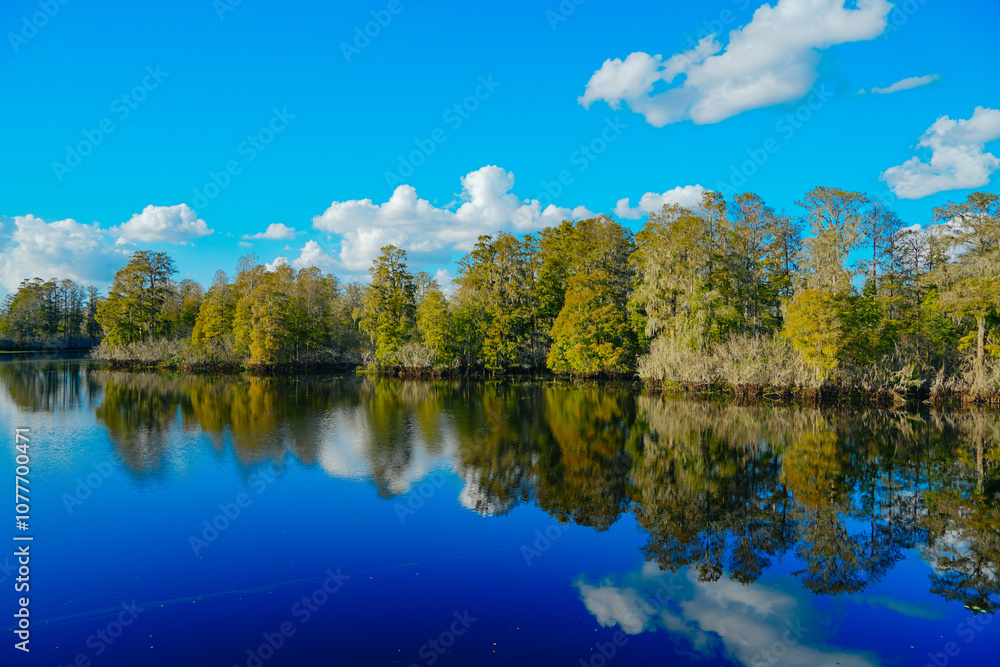 Fototapeta premium Winter Landscape of Hillsborough river at Lettuce lake park 