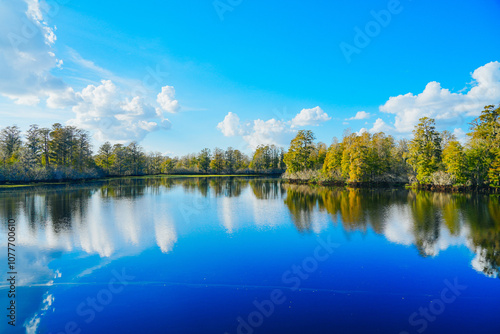 Fototapeta Naklejka Na Ścianę i Meble -  Winter Landscape of Hillsborough river at Lettuce lake park	
