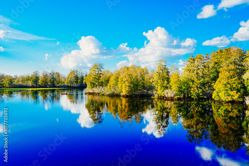 Fototapeta Naklejka Na Ścianę i Meble -  Winter Landscape of Hillsborough river at Lettuce lake park	
