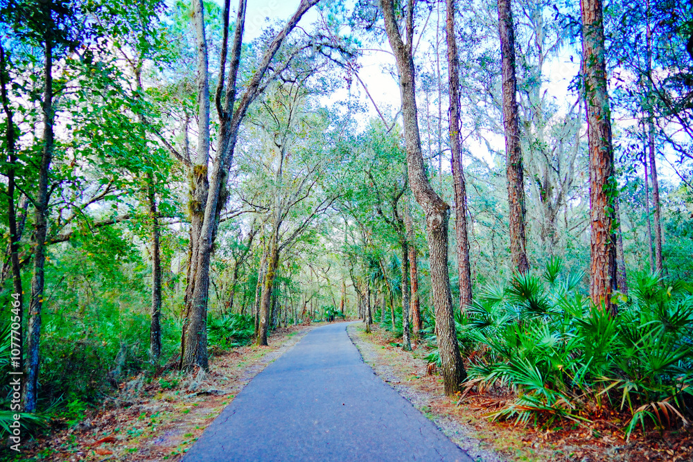 Fototapeta premium Winter Landscape of Hillsborough river at Lettuce lake park 