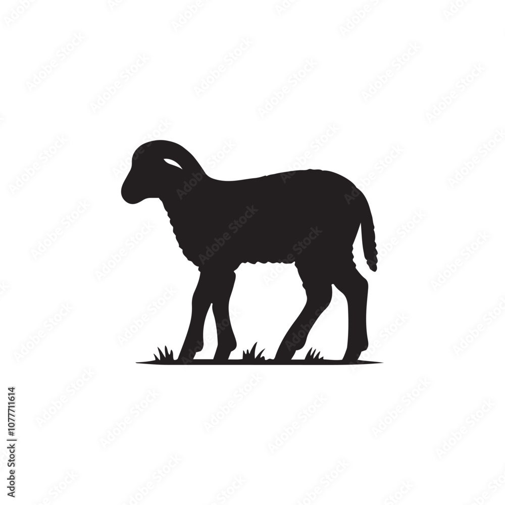 Silhouette of sheep, sheep icon, Sheep silhouette isolated on white background. Silhouettes of farm animals, domestic small cattle Silhouette of sheep, sheep icon, Sheep silhouette isolated on white background. Silhouettes of farm animals, domestic small cattle
