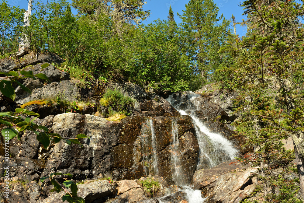 The stormy stream of the river flows down in a swift stream from high stones in a dense summer forest. The stormy stream of the river flows down in a swift stream from high stones in a dense summer forest.