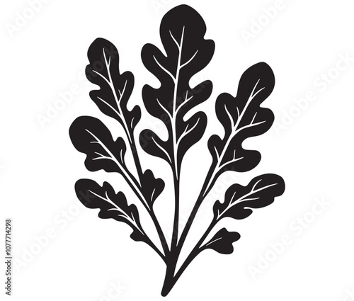 Arugula silhouette vector, Leaf silhouette icon, Arugula vegetable leaf illustration