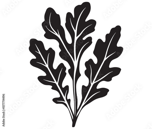Arugula silhouette vector, Leaf silhouette icon, Arugula vegetable leaf illustration