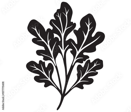 Arugula silhouette vector, Leaf silhouette icon, Arugula vegetable leaf illustration